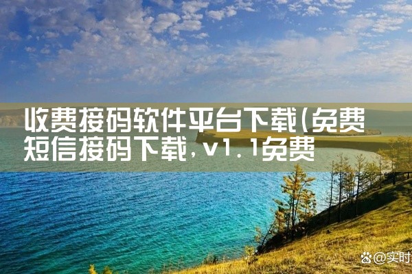 收费接码软件平台下载