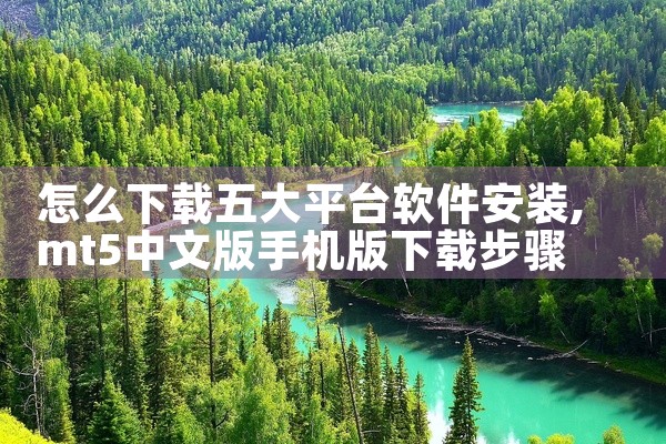 怎么下载五大平台软件安装
