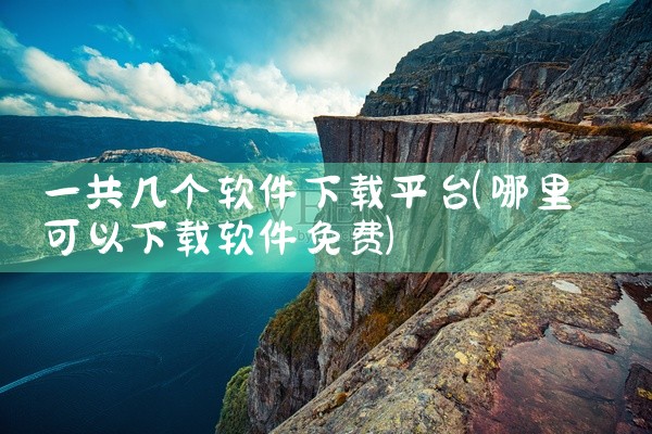一共几个软件下载平台